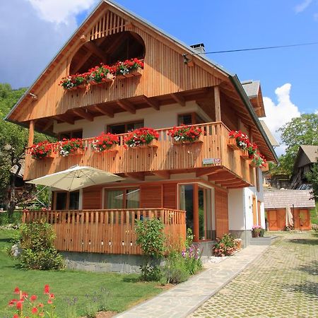 Apartments Vila Jelka ボーヒニ エクステリア 写真
